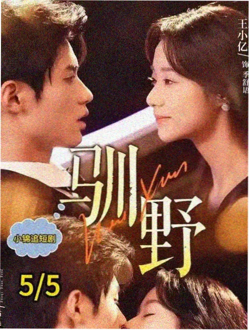电视剧大全 资讯